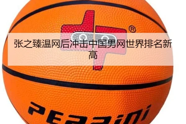 img_1783242514034_685_2_446.jpg